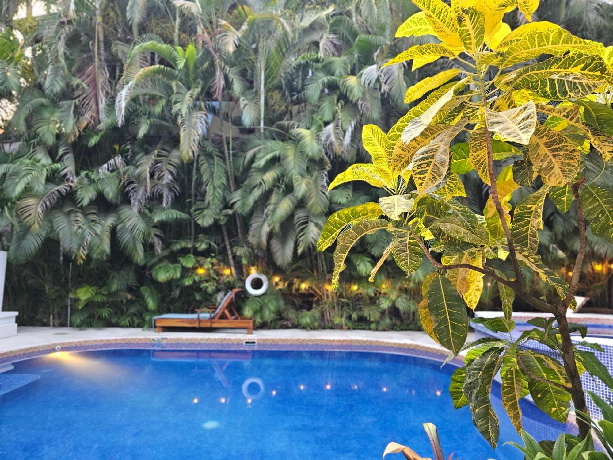 Dreamcatcher Hotel - Atrapasuenos Playa Santa Teresa  Exteriör bild